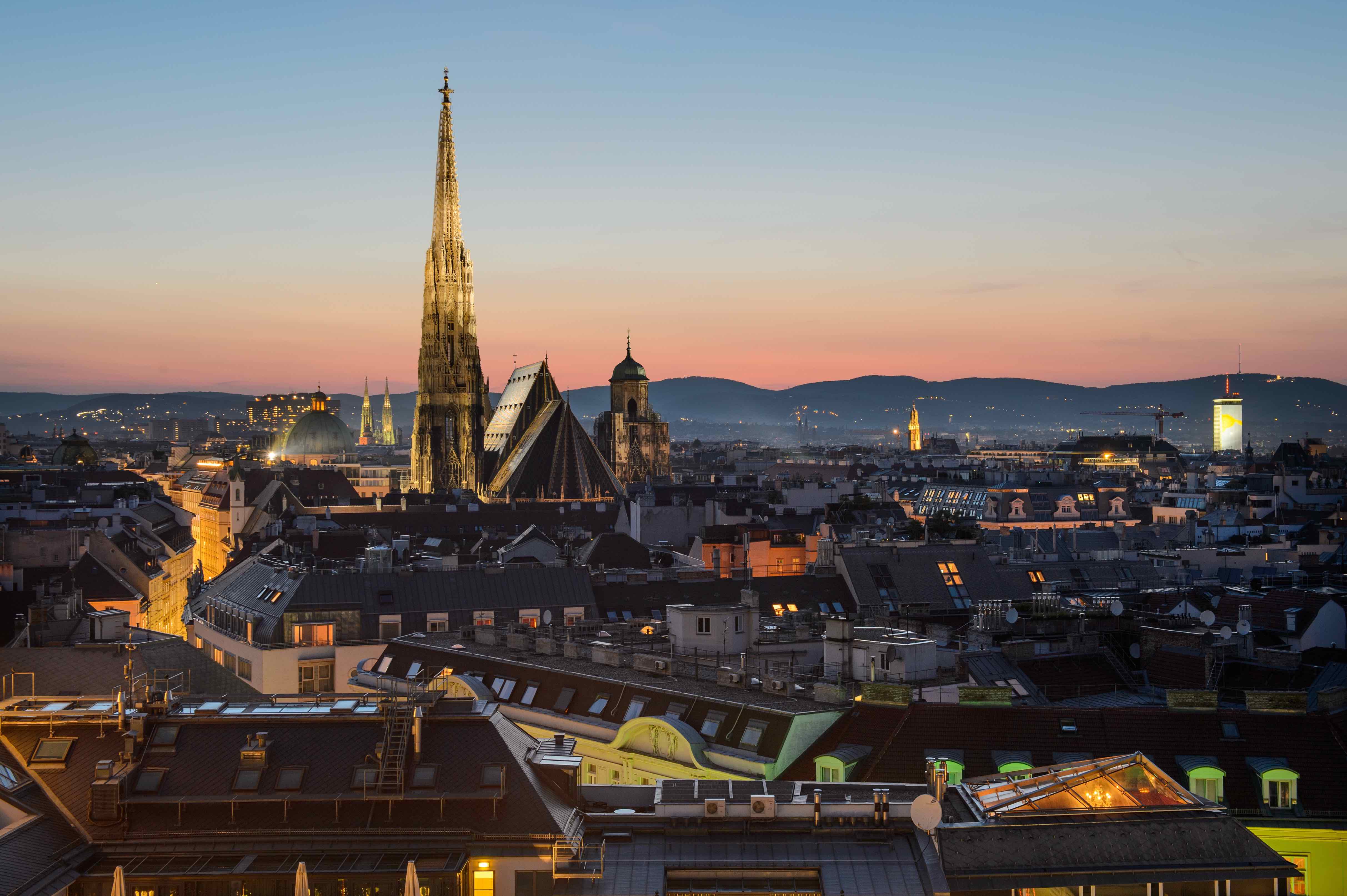 Rooftop picture of Vienna